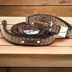 Luxury Dog Collar Set: Finnigan's Fancy 🐾