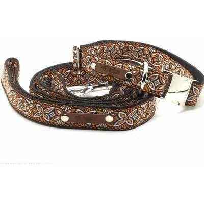 Luxury Dog Collar Set: Finnigan's Fancy 🐾