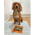 The Bedazzle Dog Lead No. 9s Finnigans Play Pen